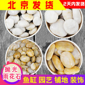 天然抛光雨花石庭院大小石子鱼缸造景铺路鹅卵石花盆多肉装 饰石头