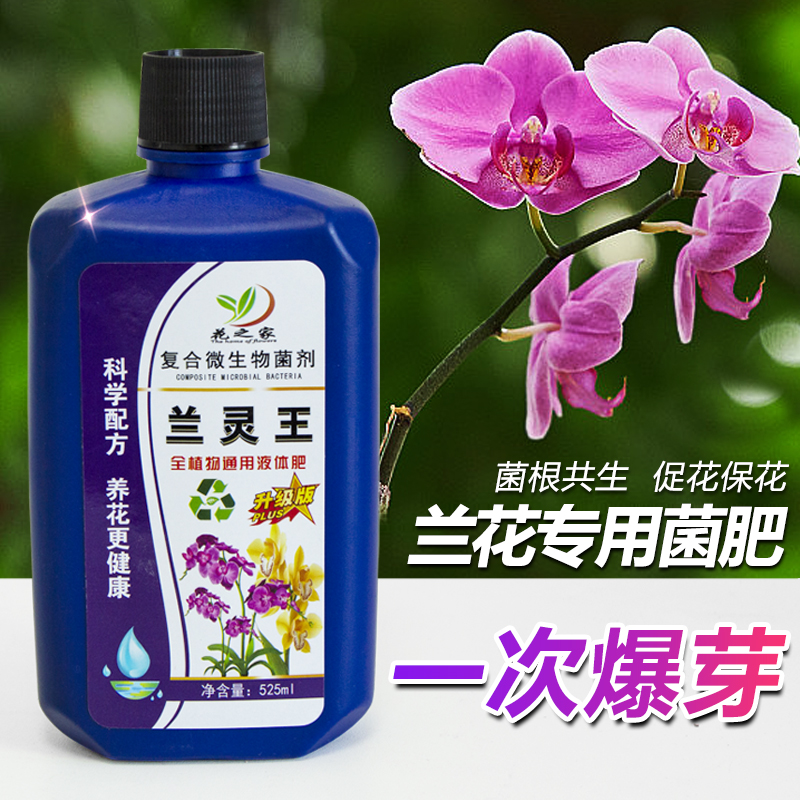 兰花专用肥营养液肥料菌群促花活化剂养花微生物菌剂兰灵王营养液