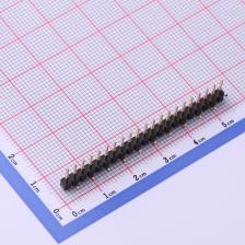 X6511WVS-21H-C60D48R2 排针 2.54mm 1x21P 立贴 方针