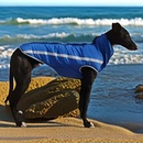 狗服格力犬灵缇惠比特犬衣服加绒保暖狗狗棉服棉衣拉链棉服