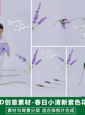 新版儿童影楼后期PS模板可爱满月宝宝照片设计清新紫色花主题素材