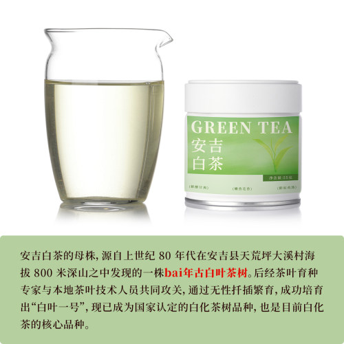 栖凤居安吉白茶2026新茶头春