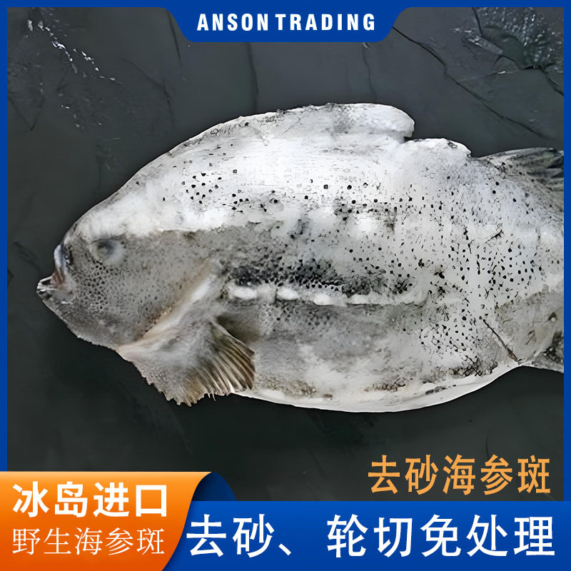 海参斑【去鳞去砂去内脏】3条6斤