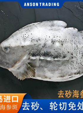 海参斑【去鳞去砂去内脏】3条6斤