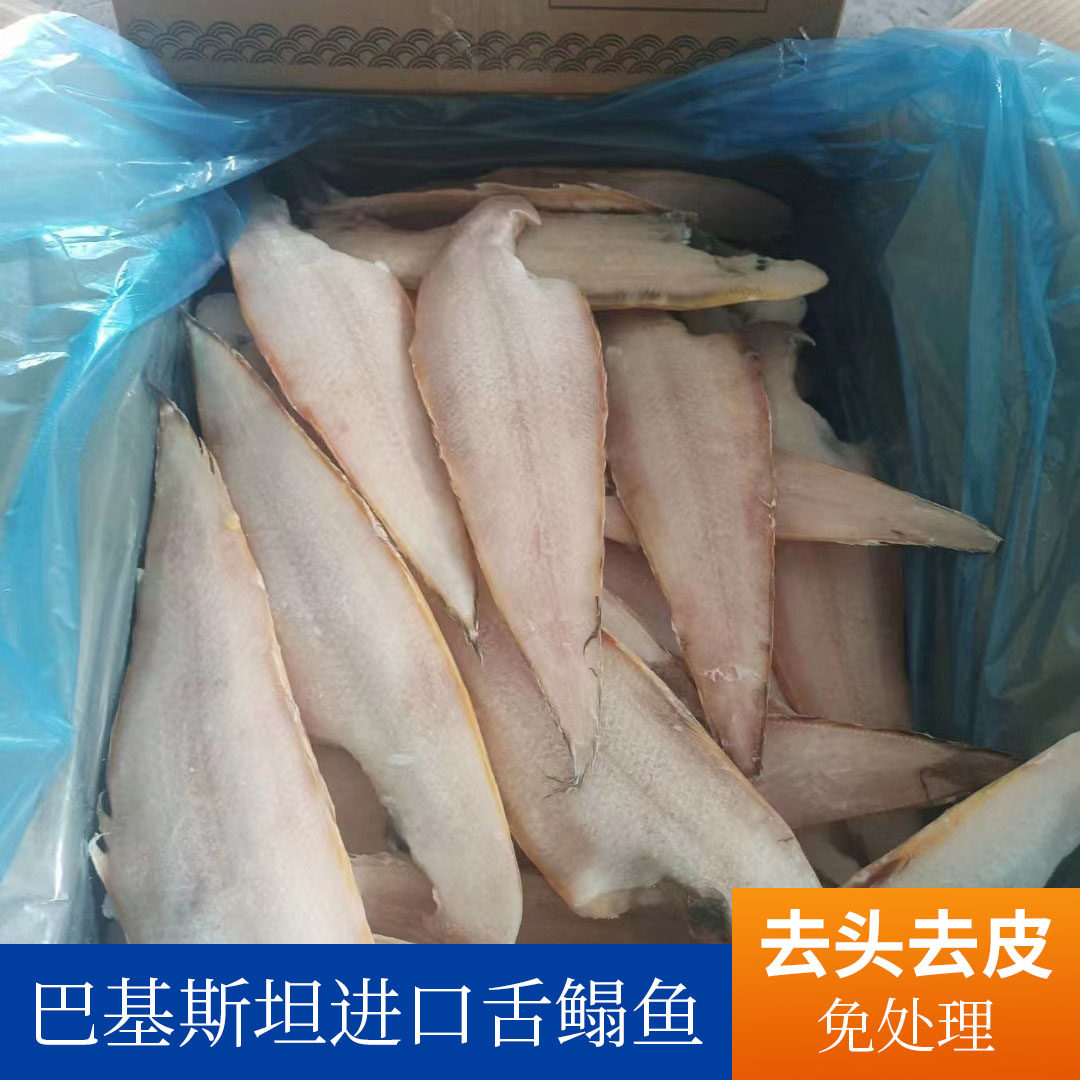 巴基斯坦进口去皮舌鳎鱼无冰冷冻舌头鱼龙舌鱼鳎目鱼酒店餐馆批发
