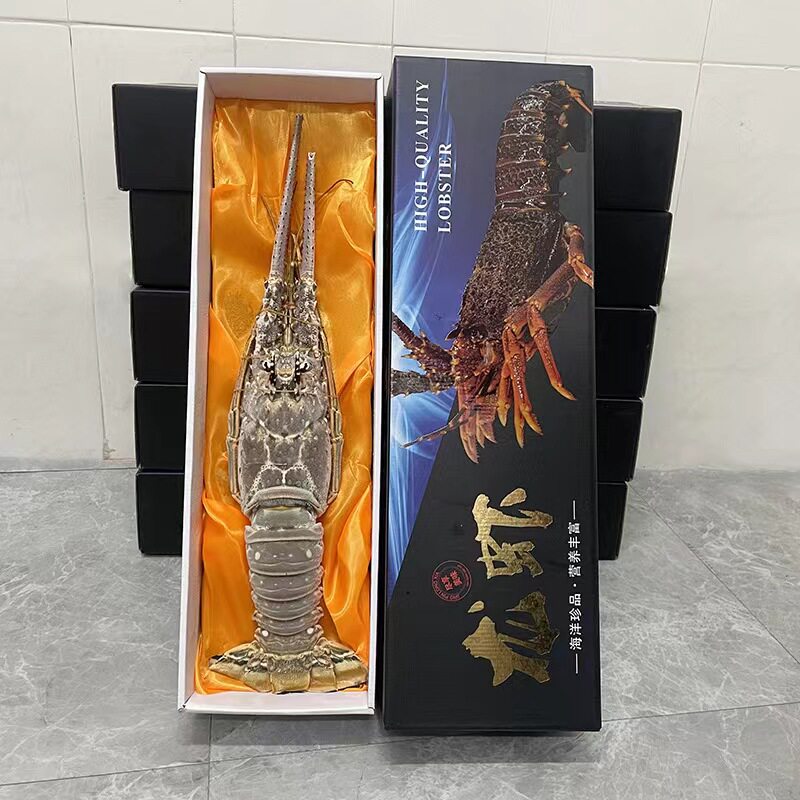进口豪华古巴大龙虾新鲜冷冻高档礼盒节日送礼龙虾青龙虾包装礼品