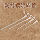 鹦鹉鸟类喂奶喂药喂食硅胶软管超柔软管手养不伤鸟喂食神器