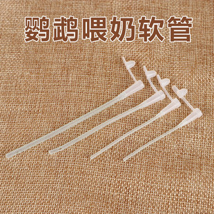 鹦鹉鸟类喂奶喂药喂食硅胶软管超柔软管手养不伤鸟喂食神器