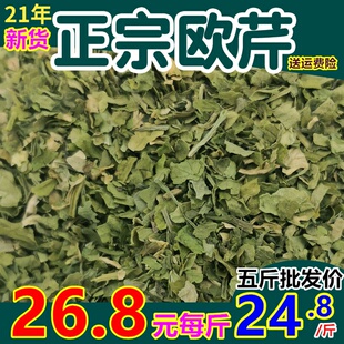 新货欧芹碎500克250g包邮干香芹叶调味料新鲜片西餐粉罗勒烘焙料