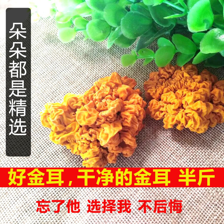 250克包邮大朵优质云南野生金耳黄金耳木耳脑耳菌桃胶皂角米伴侣
