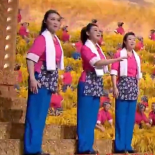 农民村姑在希望的田野上丰收节表演服红歌大合唱诗歌朗诵演出服装