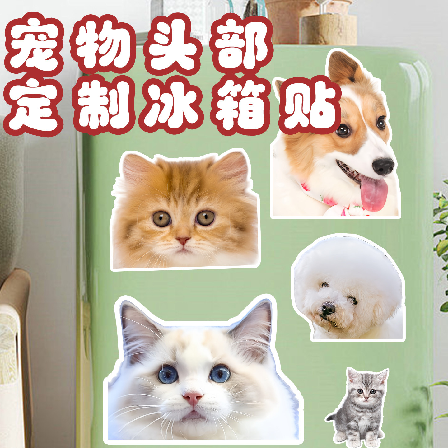 冰箱贴照片定制磁吸diy猫猫宠物图片装饰磁贴黑板狗狗大头抠图