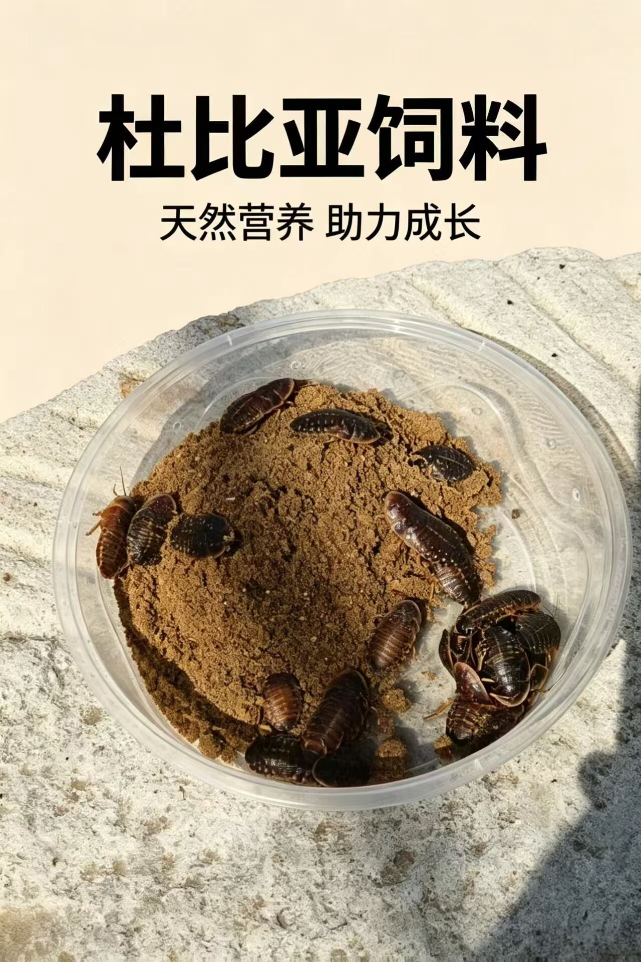 杜比亚主食粮 天然配方 高蛋白高钙 蟋蟀面包虫樱桃红蟑螂通用