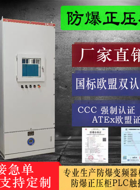 PXK防爆正压柜防爆配电箱通风型正压柜PLC配电柜变频柜9U防爆箱
