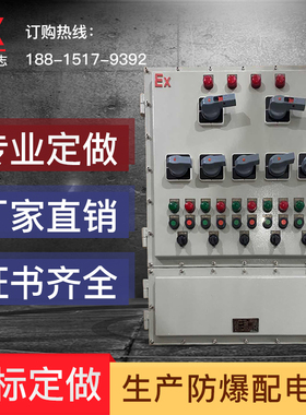 防爆照明动力配电箱防爆配电柜BXM(D)51防爆控制箱防爆检修箱插座