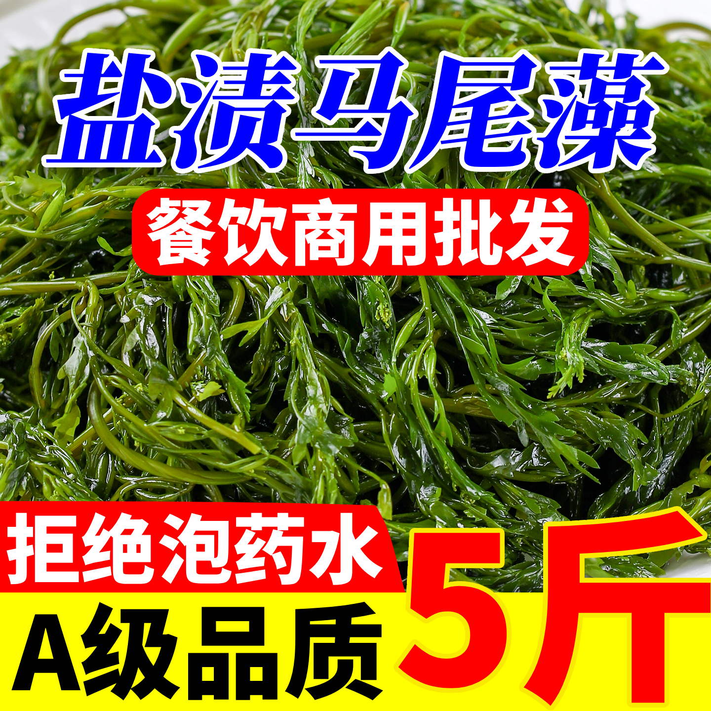 5斤新鲜海草精品马尾藻火锅商用