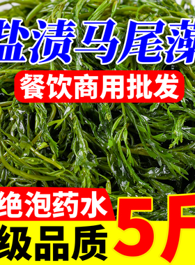 马尾藻新鲜海草5斤盐渍鞭炮笋长寿菜海藻羊栖菜餐饮商用火锅食材