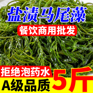 马尾藻新鲜海草5斤盐渍鞭炮笋长寿菜海藻羊栖菜餐饮商用火锅食材