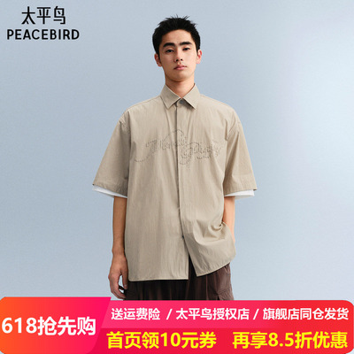 太平鸟男装 休闲衬衫时尚刺绣条纹衬衫B2CJF222J