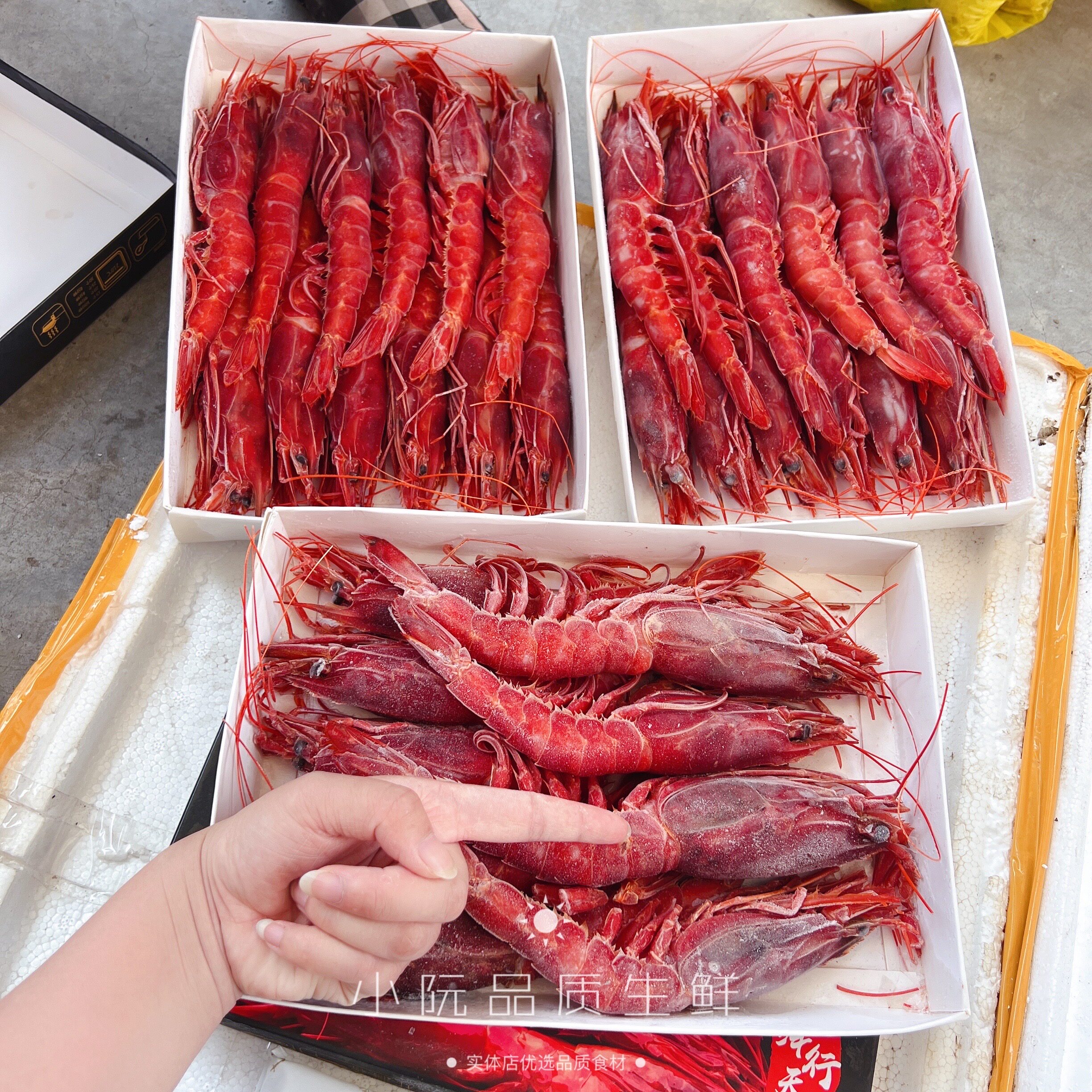 深海西班牙红魔虾胭脂虾绯红虾东海冷冻大虾刺身级红虾800g/盒