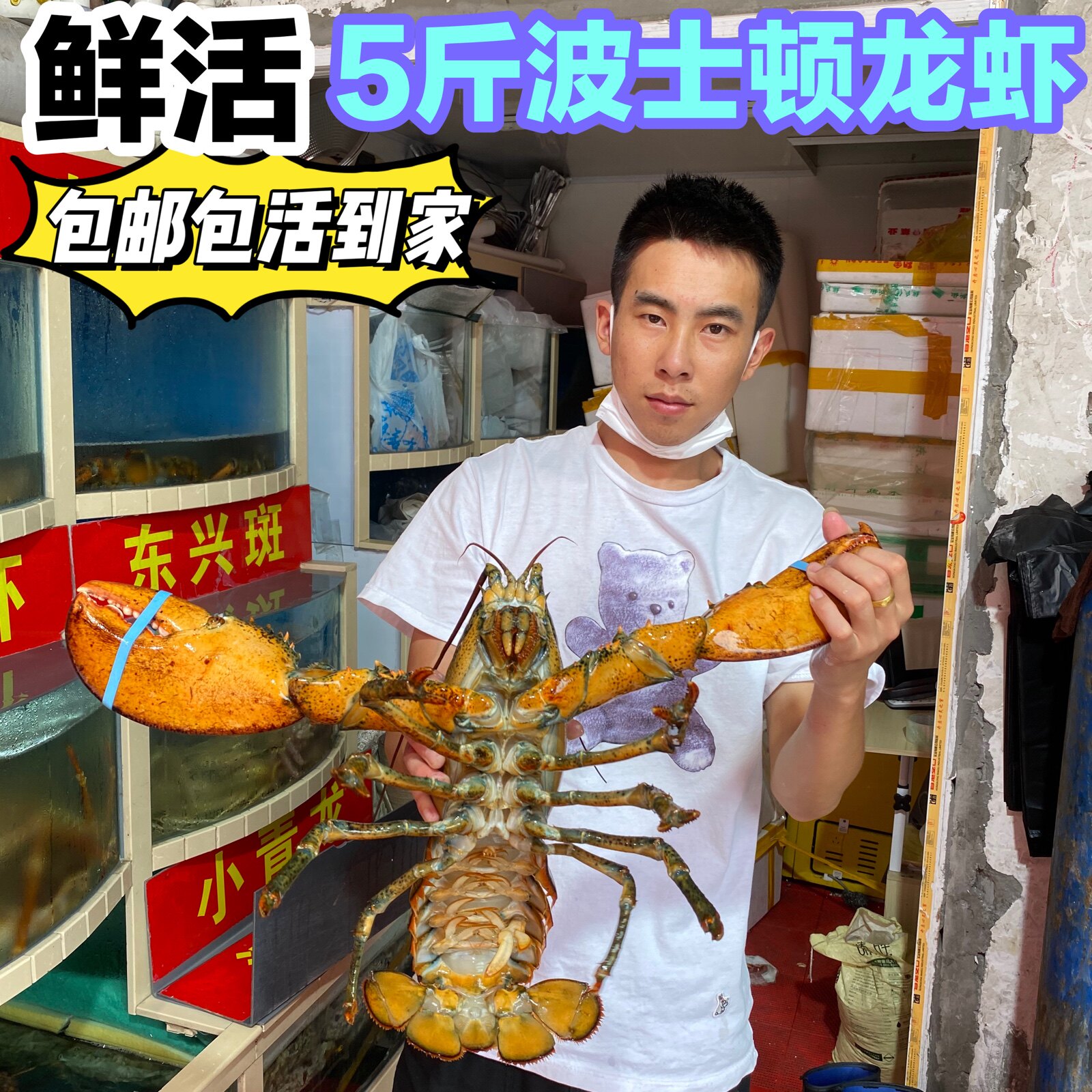 波士顿龙虾5斤海鲜鲜活 水产进口特大波龙澳洲超大青暴波斯顿包邮