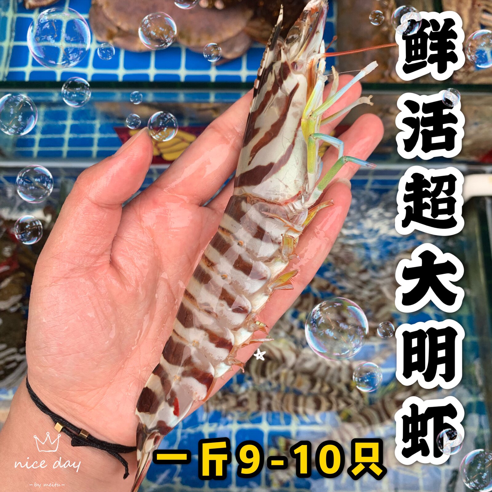 鲜活小号大明虾500g 东海竹节虾基围虾九节虾大对虾新鲜海捕大虾