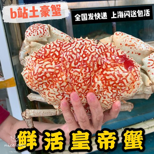 0帝王蟹澳洲巨大拟滨野生单价
