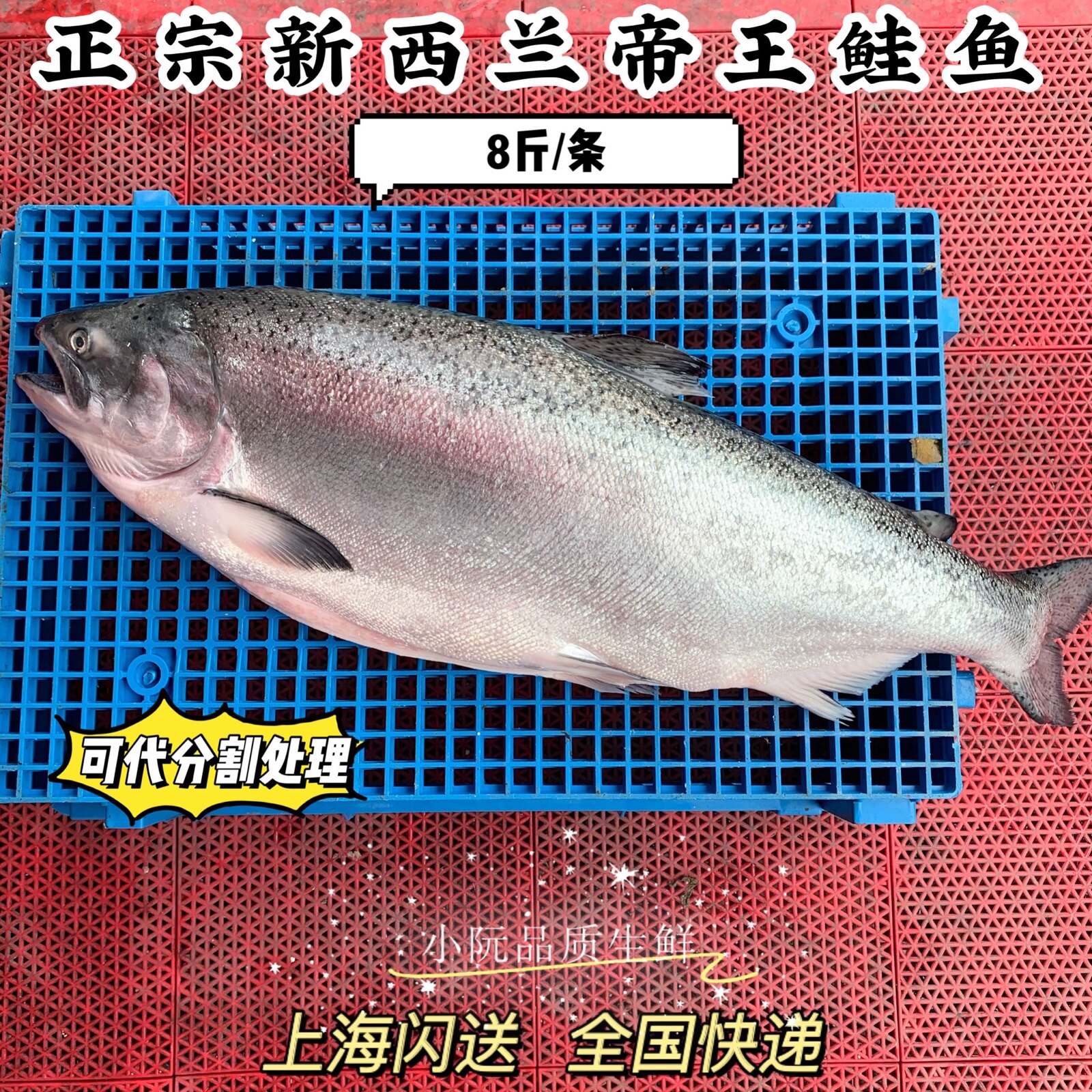 新西兰帝王一斤整条挪威顺丰鲑鱼图片
