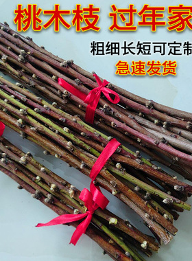 东南老桃木镇宅原木桃枝桃树枝婴儿护身桃木枝挂件护身枝条棍野生