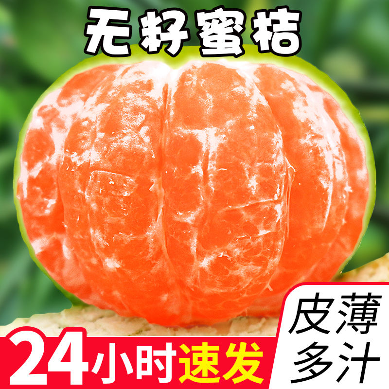 正宗石门薄皮橘子青桔