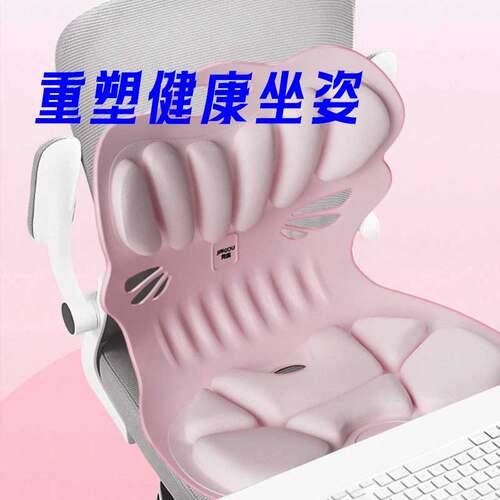 2026新品坐姿神器护腰坐垫