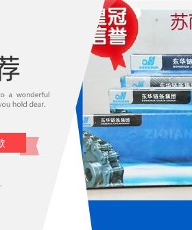 双排东华自强传动链条06B 06C 08A 08B 10A 10B12A12B16A工业链条
