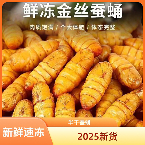 金丝蚕蛹2025新货小蚕蛹不加盐新鲜速冻农家桑蚕蛹山东特产黄金蛹