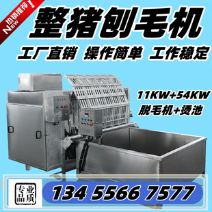 全自动猪脱毛机商用猪去毛设备大型屠宰场杀猪设备生猪母猪退毛机