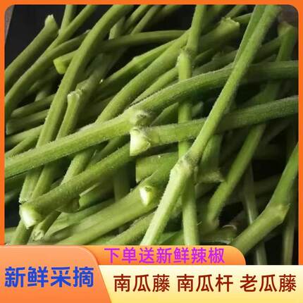 湖南怀化会同农家自种新鲜南瓜藤带皮南瓜杆老瓜藤时令蔬菜瓜藤