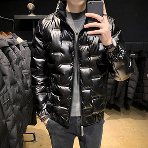 冬季羽绒服男薄款立领时尚羽绒服男A074-A026图片