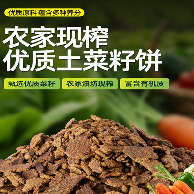 栖息菜籽饼肥料发酵腐熟油饼油枯种菜钓鱼打窝料农家自榨有机肥料