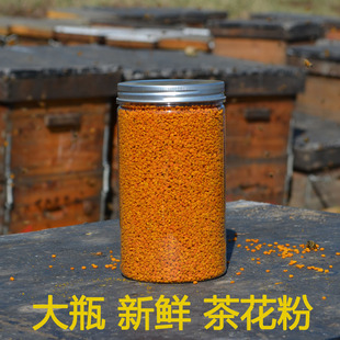 茶花粉农家自产活性植物山茶花蜂花粉天然正品 食用新鲜未破壁500g