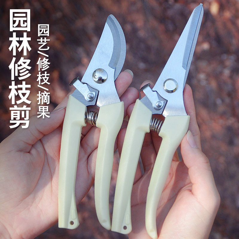 热销爆款花园果树家用修枝剪图片