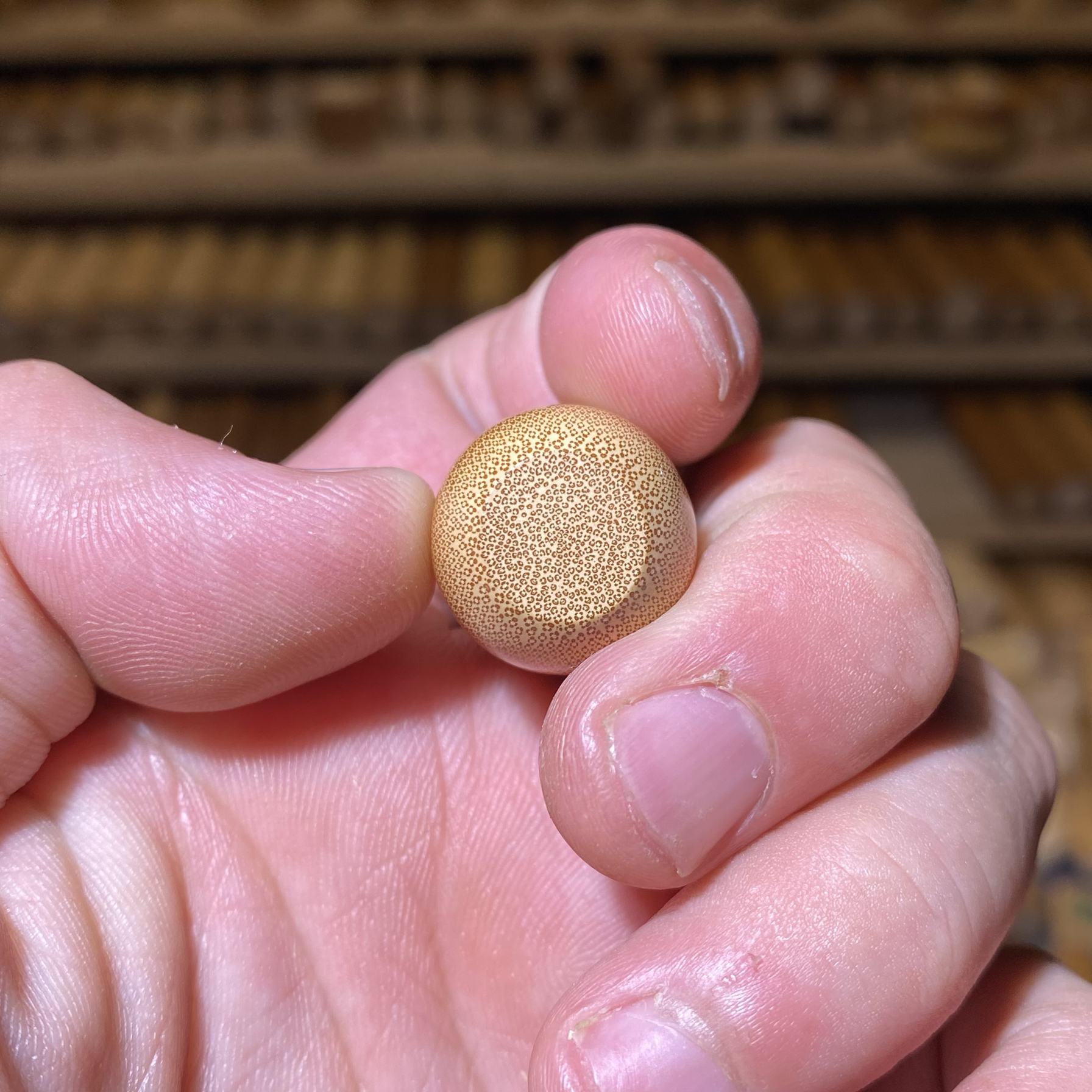 18-29爆密短圆，一物一链接，拍了下架，远山工实心玉竹手把件