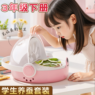 蚕宝宝学生养蚕套装太空养育仓培育饲养盒工具套装七彩蚕丝小蚕宝宝三年级下册科学养蚕的一生1234龄新鲜桑叶