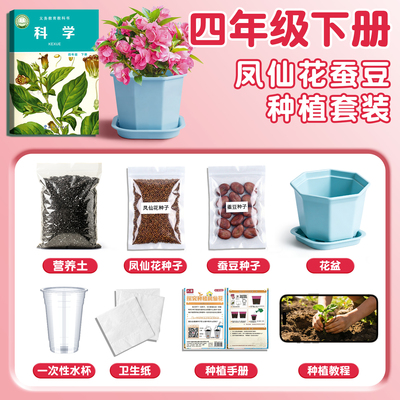 【课本同款】凤仙花种植套装