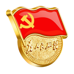 党徽强磁党员胸章胸针高档高级标准型党员徽章立体正版磁吸式超强磁扣蝴蝶扣别针款加厚收纳盒强力吸铁石