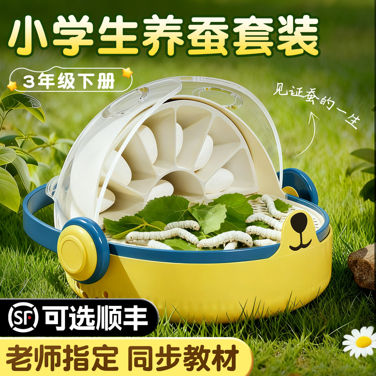 蚕宝宝学生养蚕套装太空养育仓培育饲养盒七彩小蚕宝宝1234龄新鲜
