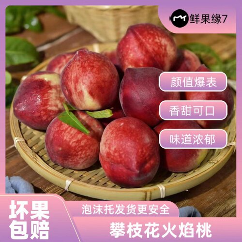 攀枝花露天脆甜桃子黑美人桃火焰桃红宝石香甜可口当季新鲜水果