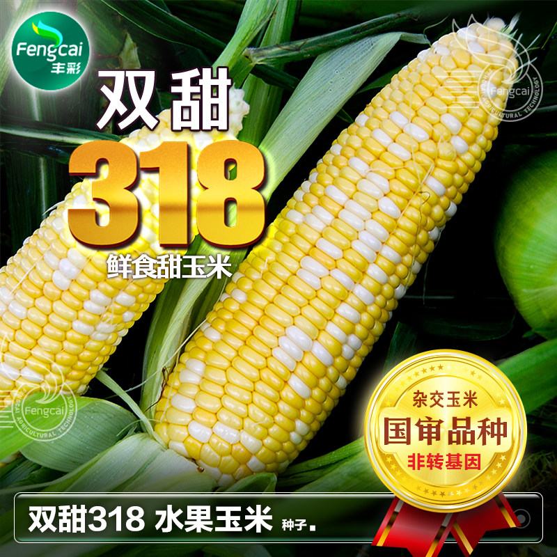 超甜双色水果玉米种脆甜糯玉米籽种子种籽糯南方春季蔬菜种孑大全
