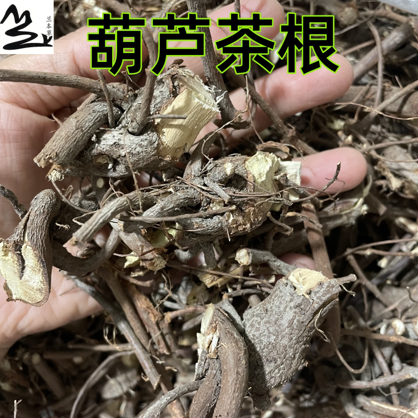 兰本草葫芦茶根 咸鱼草 牛虫草 田刀柄 百劳舌中草药250克