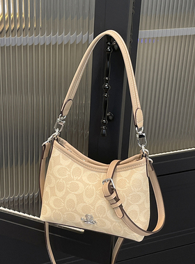 赛安娜2025新款时尚腋下女包单肩斜挎包高级感流浪包时尚简约女包