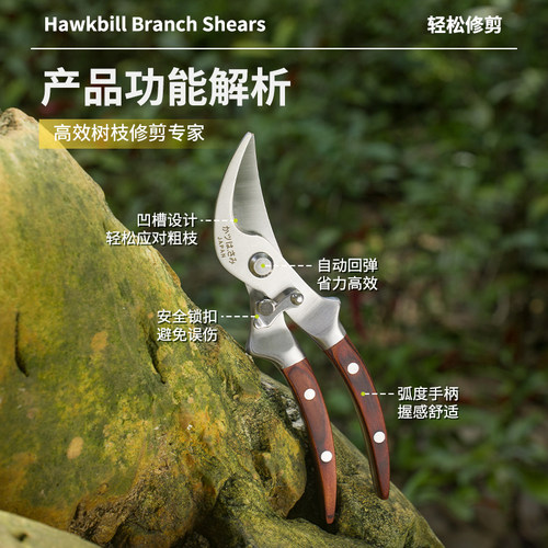 外贸不锈钢果树修枝剪园艺剪自动回弹花枝花艺刀强力摘果嫁接修枝