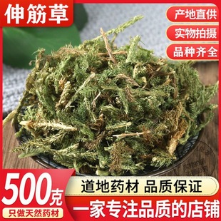 野生中药材伸筋草500克 筋骨草 石松狮子草 舒筋草 有透骨草包邮
